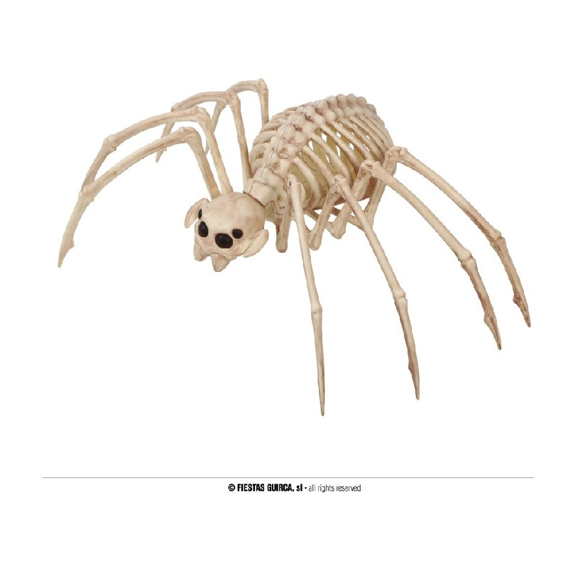 Scheletro Ragno 35x20 cm