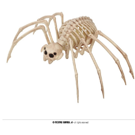 Scheletro Ragno 35x20 cm