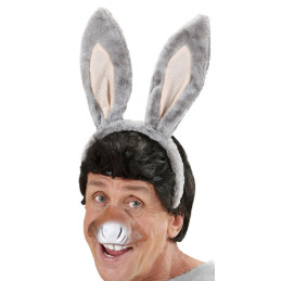 Set Asino - 2 pz (Cerchietto,naso)