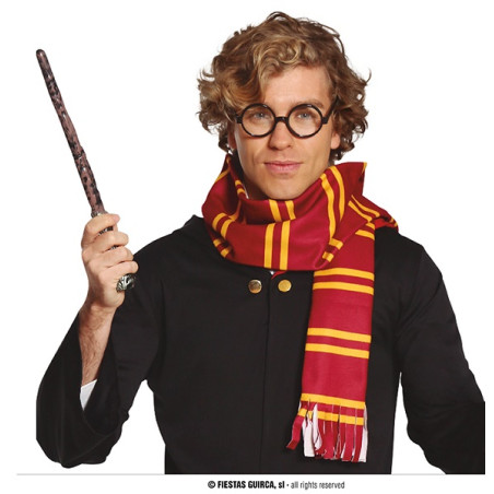 Set Mago Harry Potter - 2 pz (Sciarpa,occhiali senza lenti)