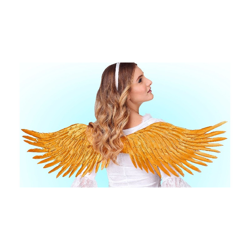 Ali Piume Oro 100x25 cm