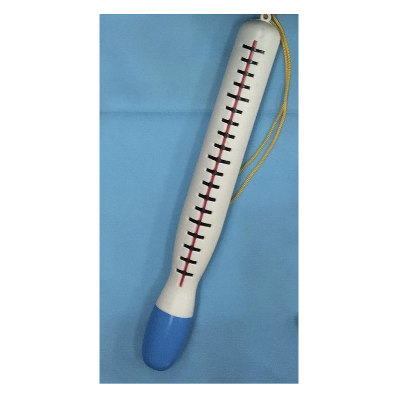 Termometro 30 cm