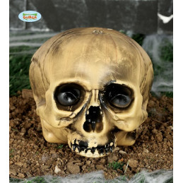 Teschio 20 cm senza mento