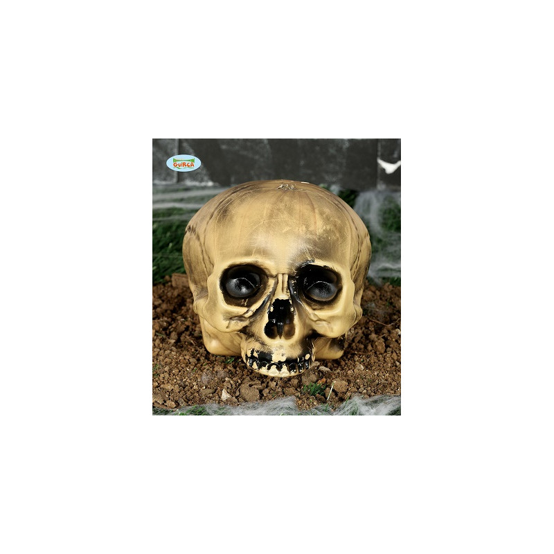 Teschio 20 cm senza mento