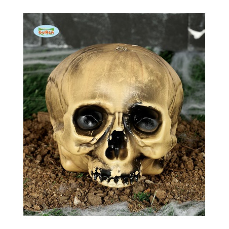 Teschio 20 cm senza mento