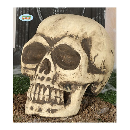 Teschio 32 cm