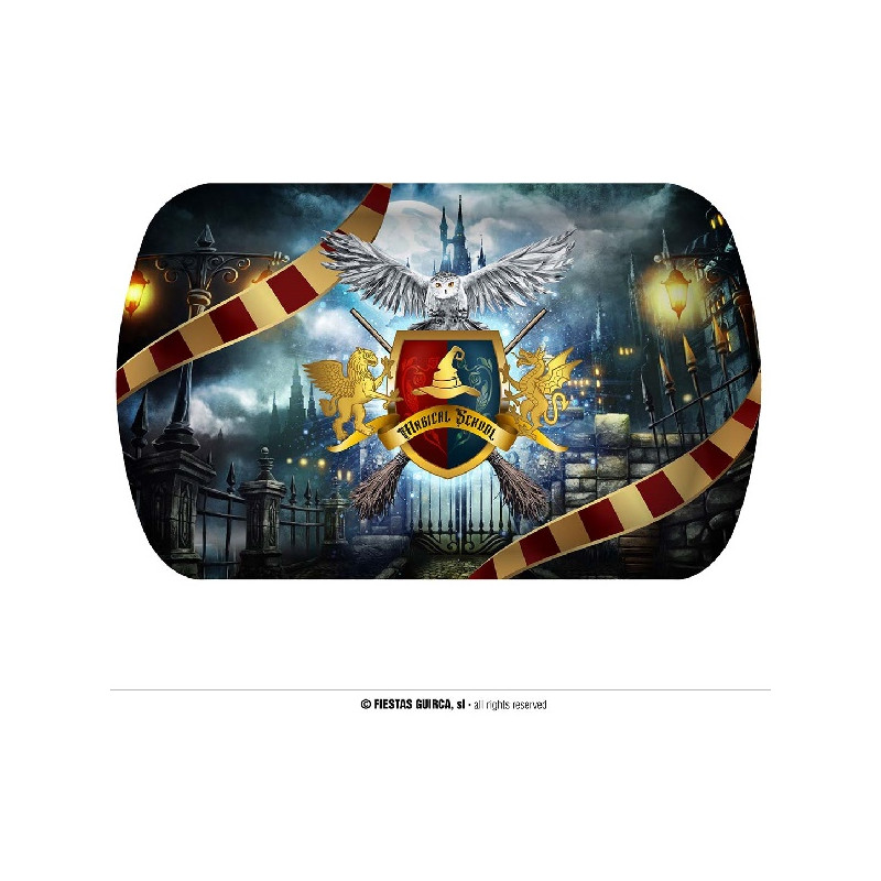 Vassoio Mago Harry Potter in plastica 39x24 cm