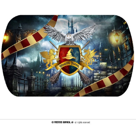 Vassoio Mago Harry Potter in plastica 39x24 cm