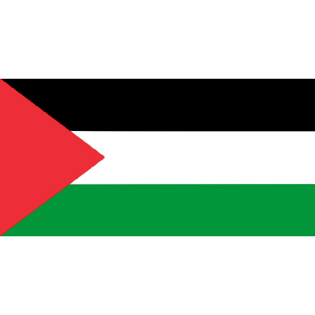 Bandiera 90x150 PALESTINA