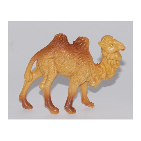 Cammello - 6,5 cm