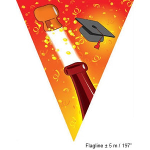 Festone 10 Bandiere LAUREA 5 mt