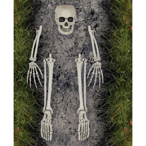 Ossa per Cimitero (cf. 5 pz)