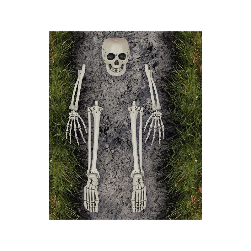 Ossa per Cimitero (cf. 5 pz)