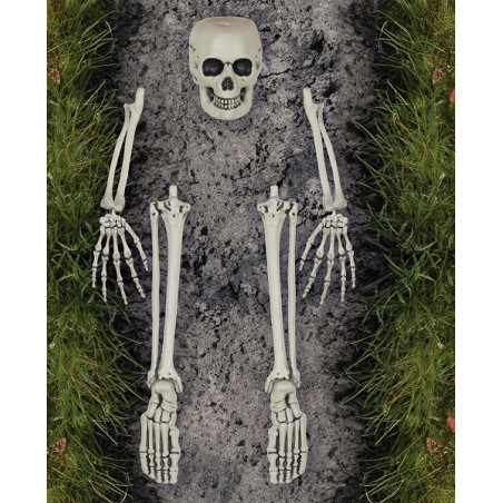 Ossa per Cimitero (cf. 5 pz)