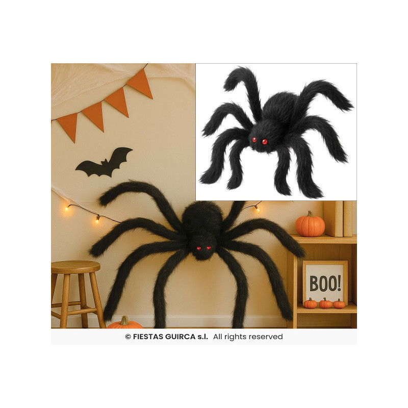 Ragno 125 cm