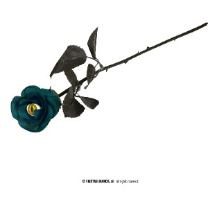 Rosa Blu con occhio di gatto 42 cm
