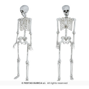 Scheletro 3D 145 cm